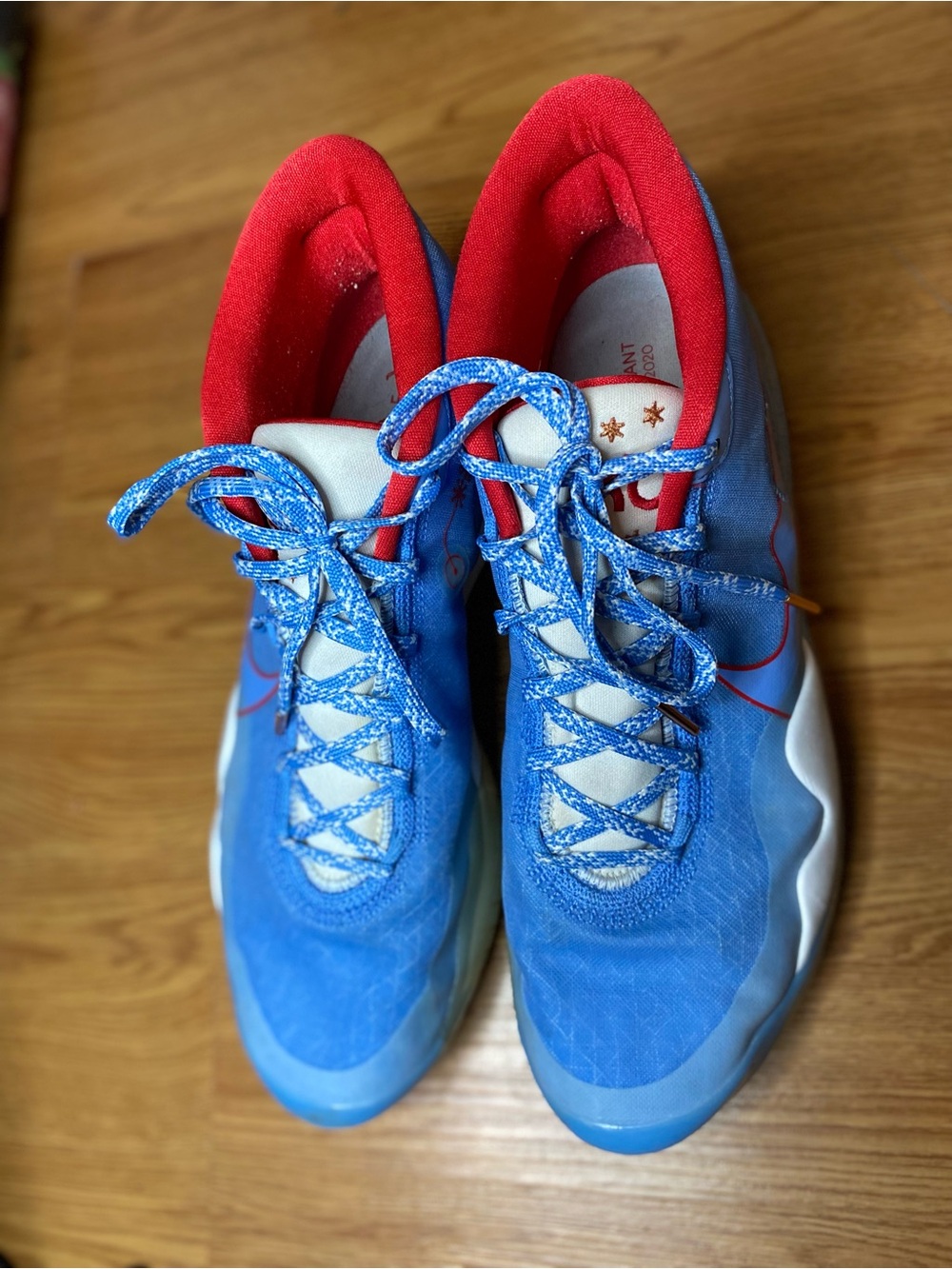 Nike Blue and Red Athletic Sneaker with White and Gold Accents